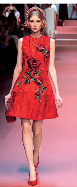Dolce & Gabbana.jpg