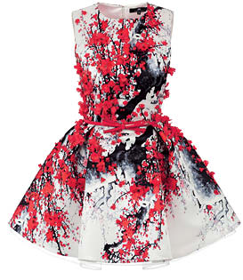 Elisabetta Franchi_cvetochnyi_print.jpg