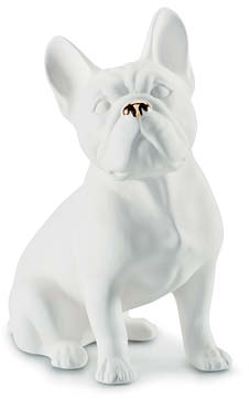 buldog.jpg